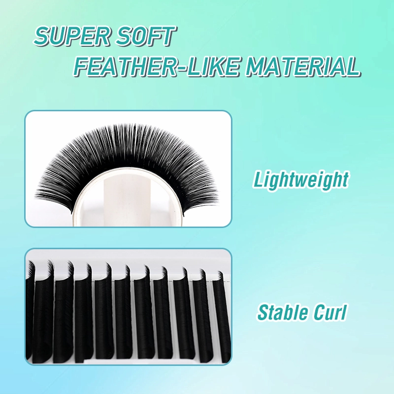 lash extension (4).webp